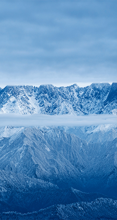 关于腾博汇官网